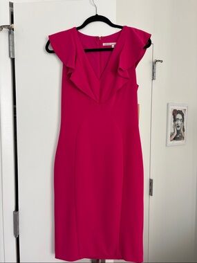 RACHEL Rachel Roy Pink Azalea Dress - Size 4 - New With Tags